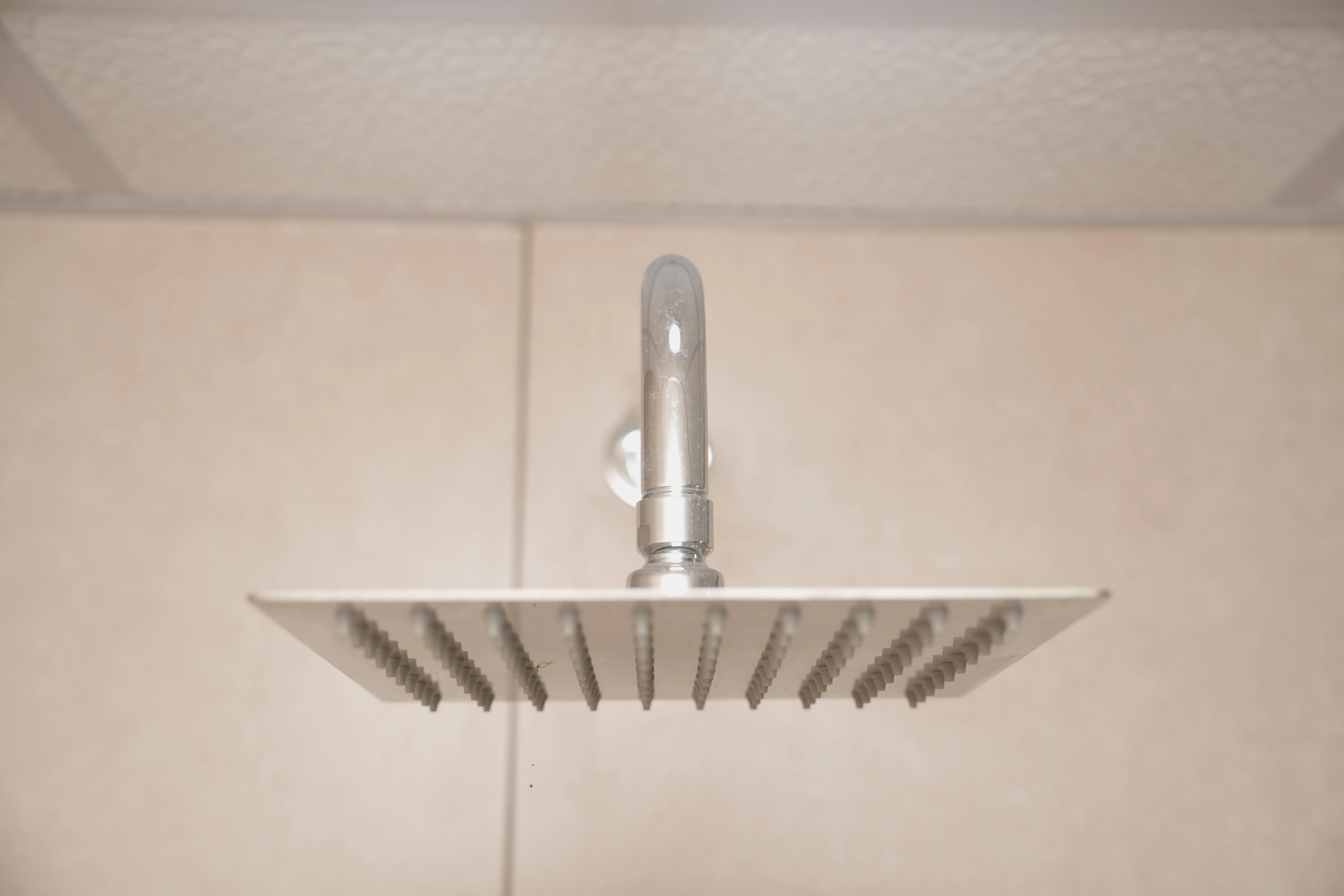 Sample Apartment